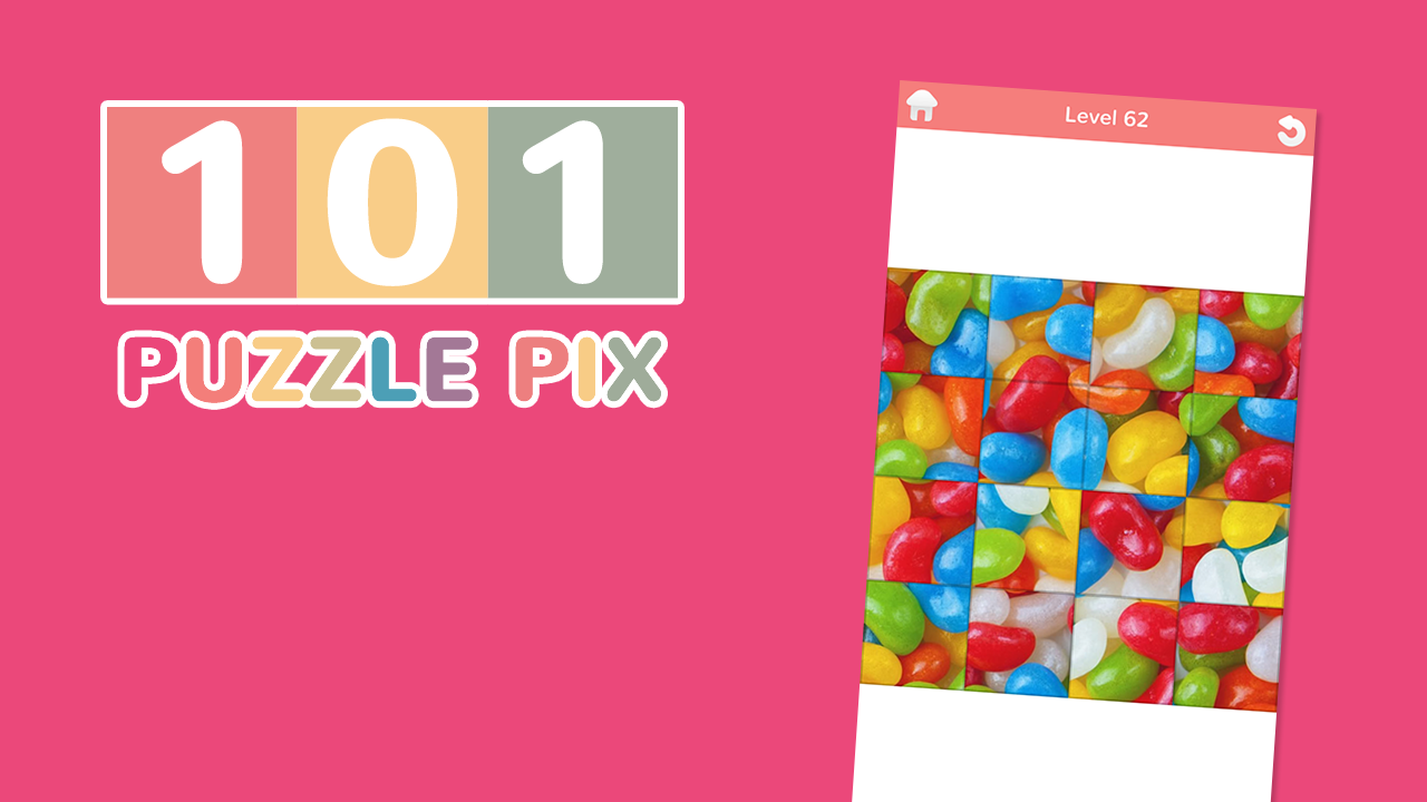101 Puzzle Pix